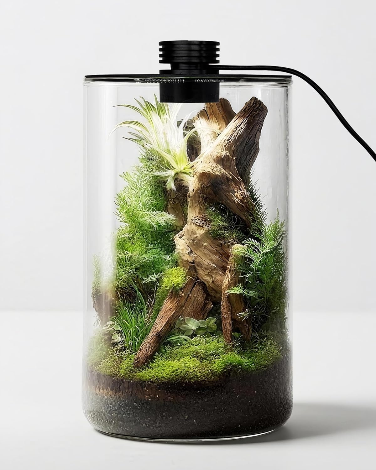 Indoor Glass Terrarium with Gr - Home Office Lamp review and price