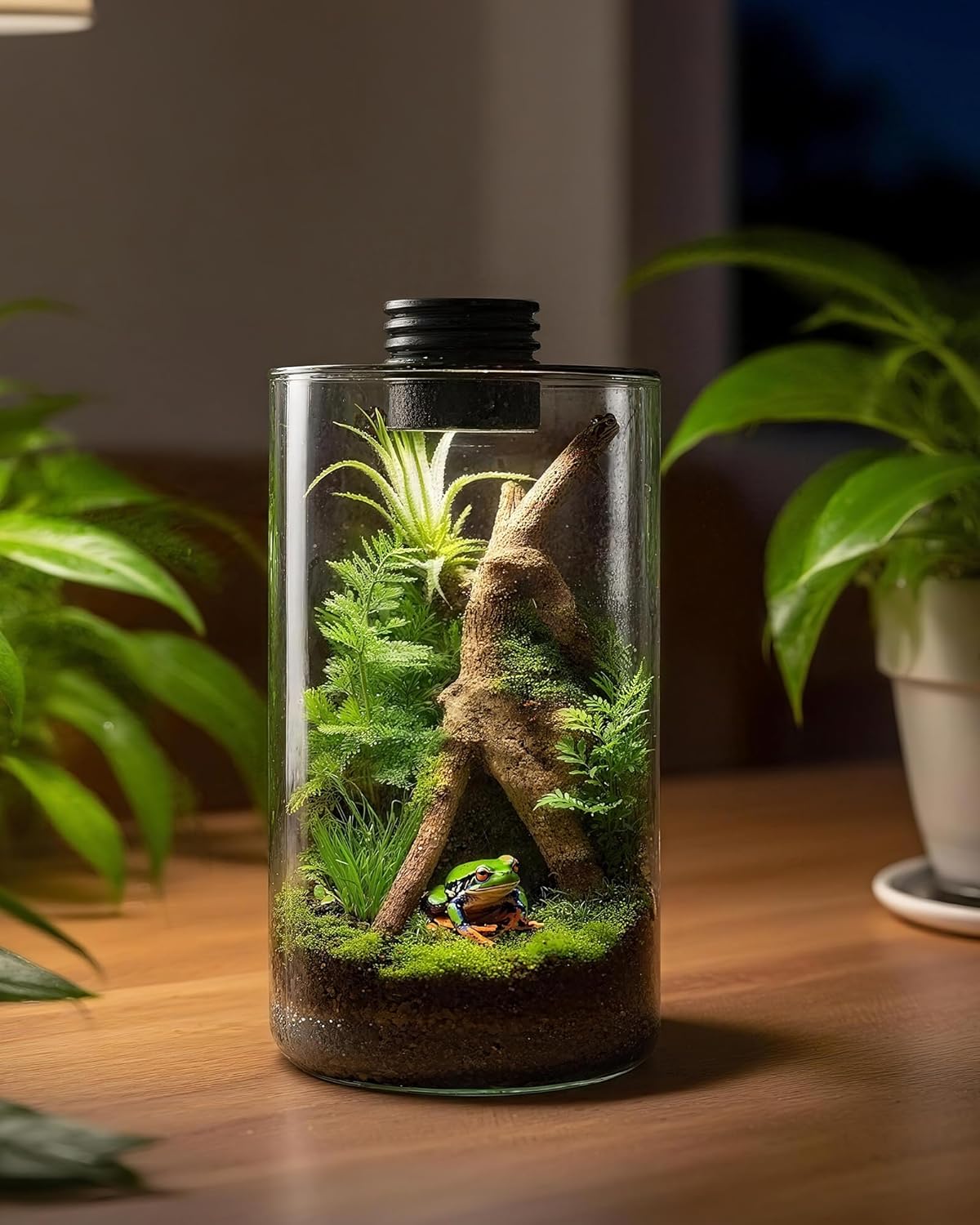 Indoor Glass Terrarium with Gr - Home Office Lamp review and price
