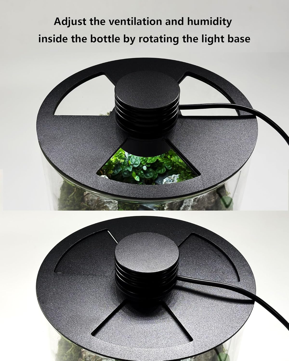 Indoor Glass Terrarium with Gr - Home Office Lamp review and price